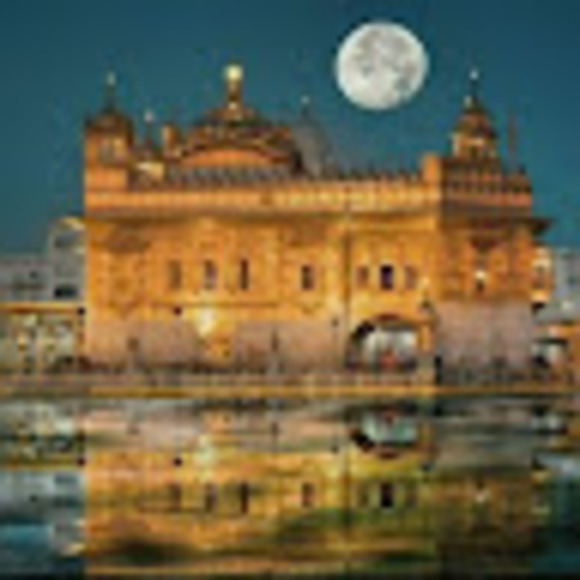 kamalpreet8621